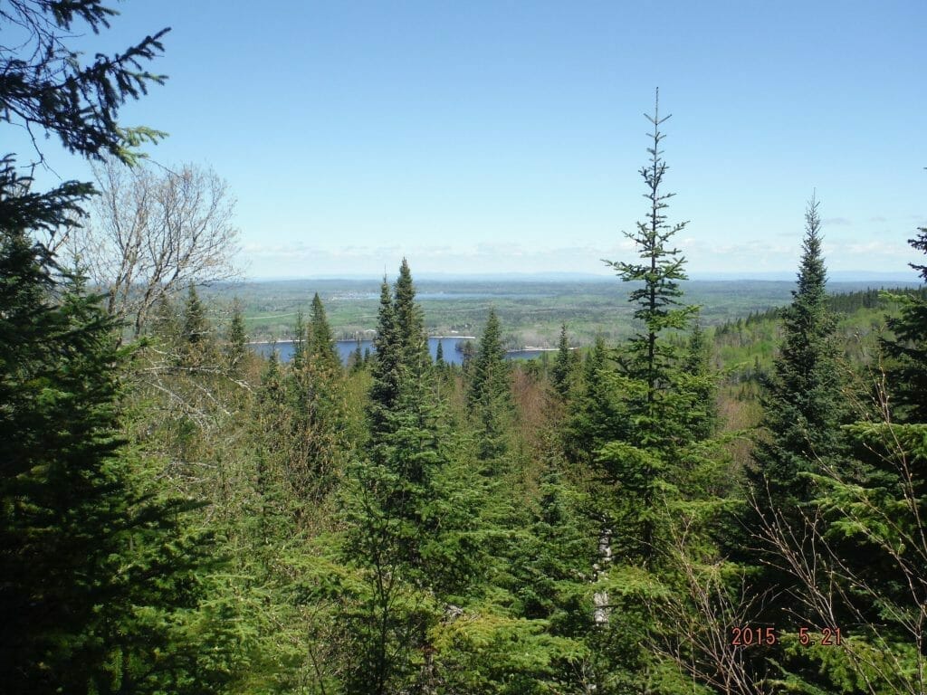 Lac-Kénogami trail viewpoint