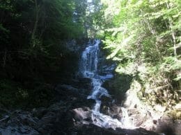Donats Falls in the Hereford Forest