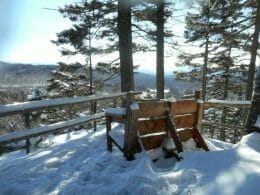 Le banc des amoureux dans le sentier Neil-Tillotson