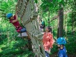 Sarbayä hebertism course