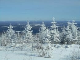 Mount Hereford summit in winter