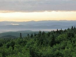 Sentiers pédestres Neil-Tillotson  Mont-Hereford