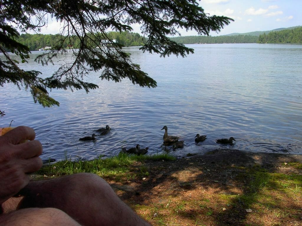 Vue sur le lac des Trente et Un Milles