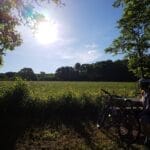 Fort-Coulonge © Plein air à la Carte