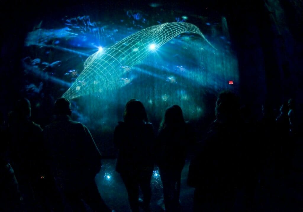Multimedia experience at the Glacier Garden