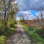 Sentier nature Tomifobia en automne