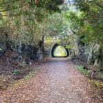 Tunnel sentier nature Tomifobia