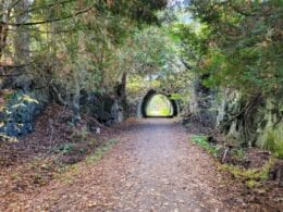 Tunnel sentier nature Tomifobia