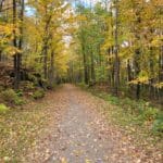 Sentier nature Tomifobia en automne