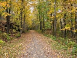 Sentier nature Tomifobia en automne