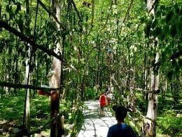 Les Sentier ludiques - Fairy Kingdom