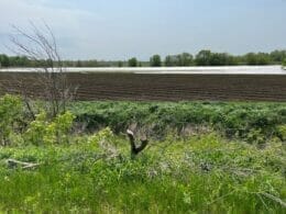 View of a farm field in spring on the sentier du Paysan bike path
