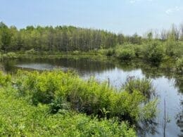 View of a stream from the sentier du Paysan bike path