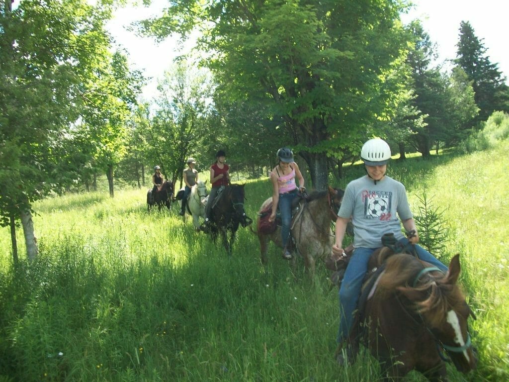 Horseback riding at the Vent du Sud equestrian center
