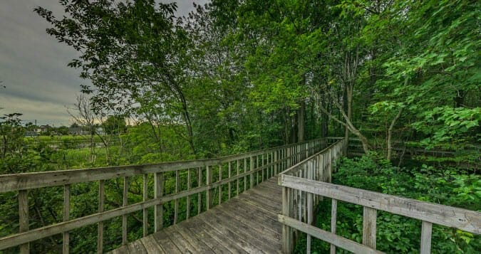 Lookout at the Farnham Nature Centre