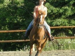 Western lessons at the Vent du Sud riding school