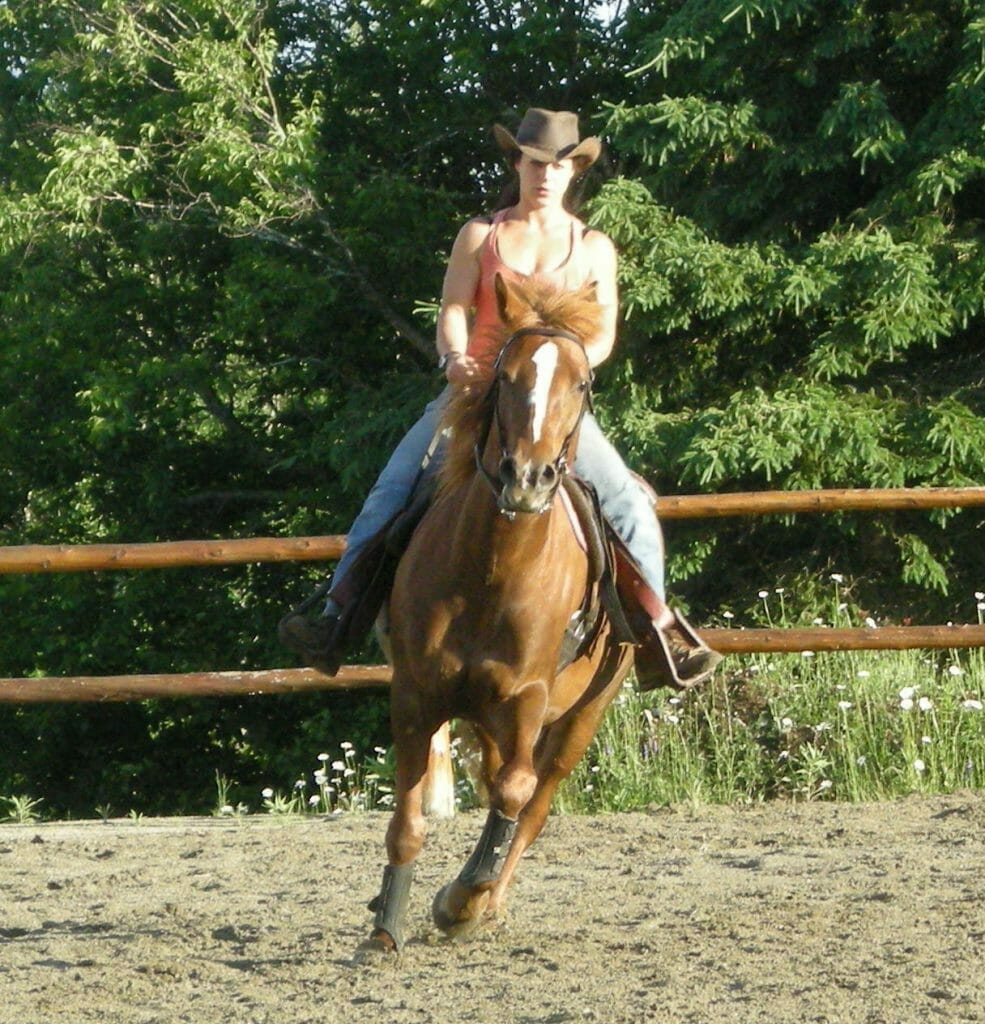 Western lessons at the Vent du Sud riding school