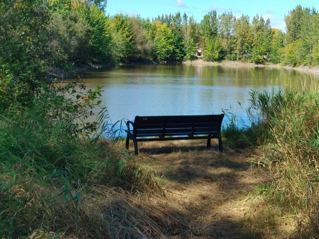 Bench on the Pointe-à-Caron trail
