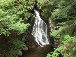 Fall in the Cap-Tourmente NWA