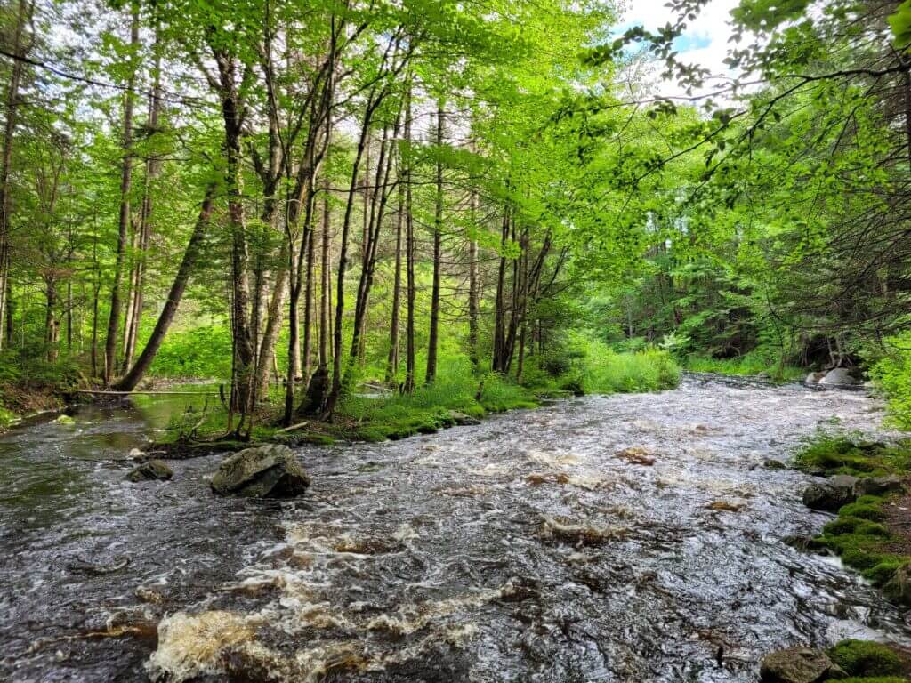 Lac à l'Ours landfill in Saint-Léonard