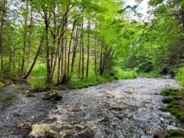 Décharge du lac à l'Ours à Saint-Léonard