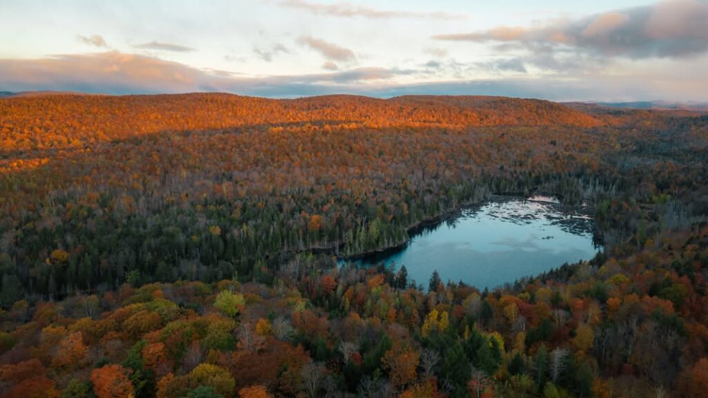 Vue aérienne du parc Kilkenny et d'un de ses lacs.