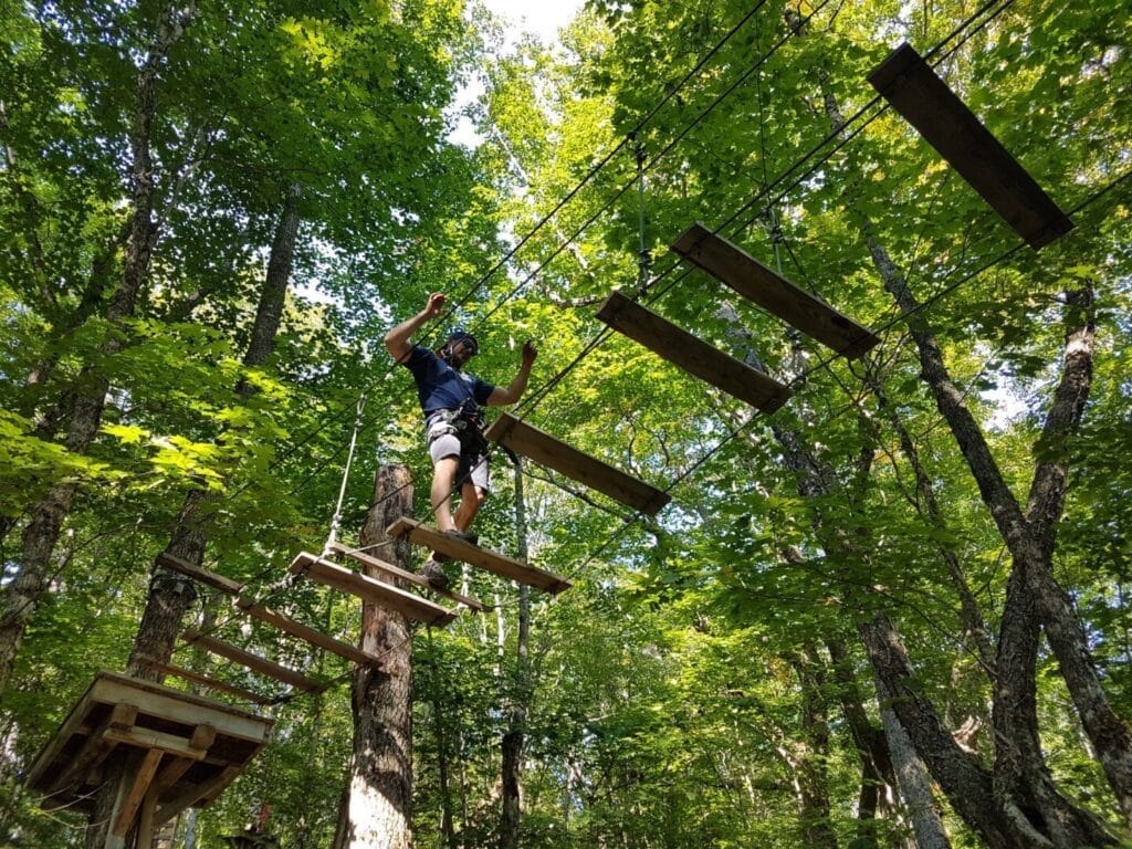 Parcours dans les arbres à la Forêt de Maître Corbeau