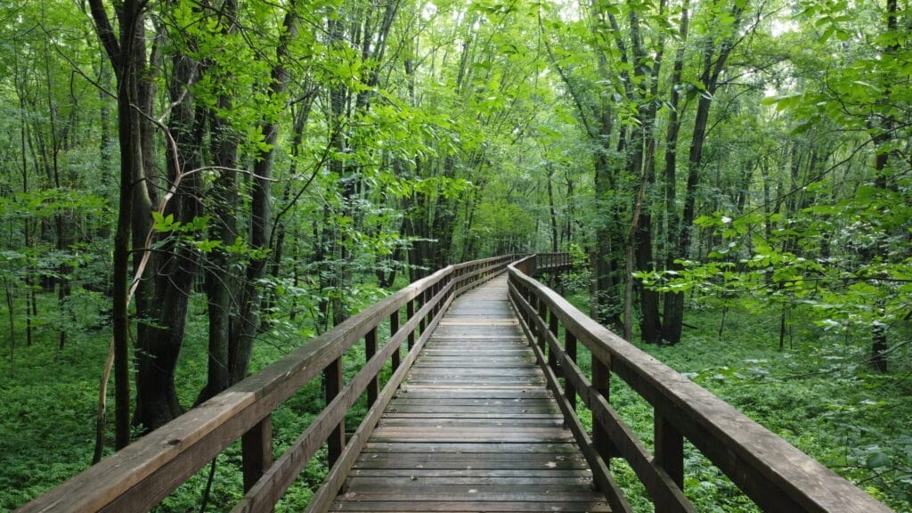 Pointe-à-Caron trail footbridge
