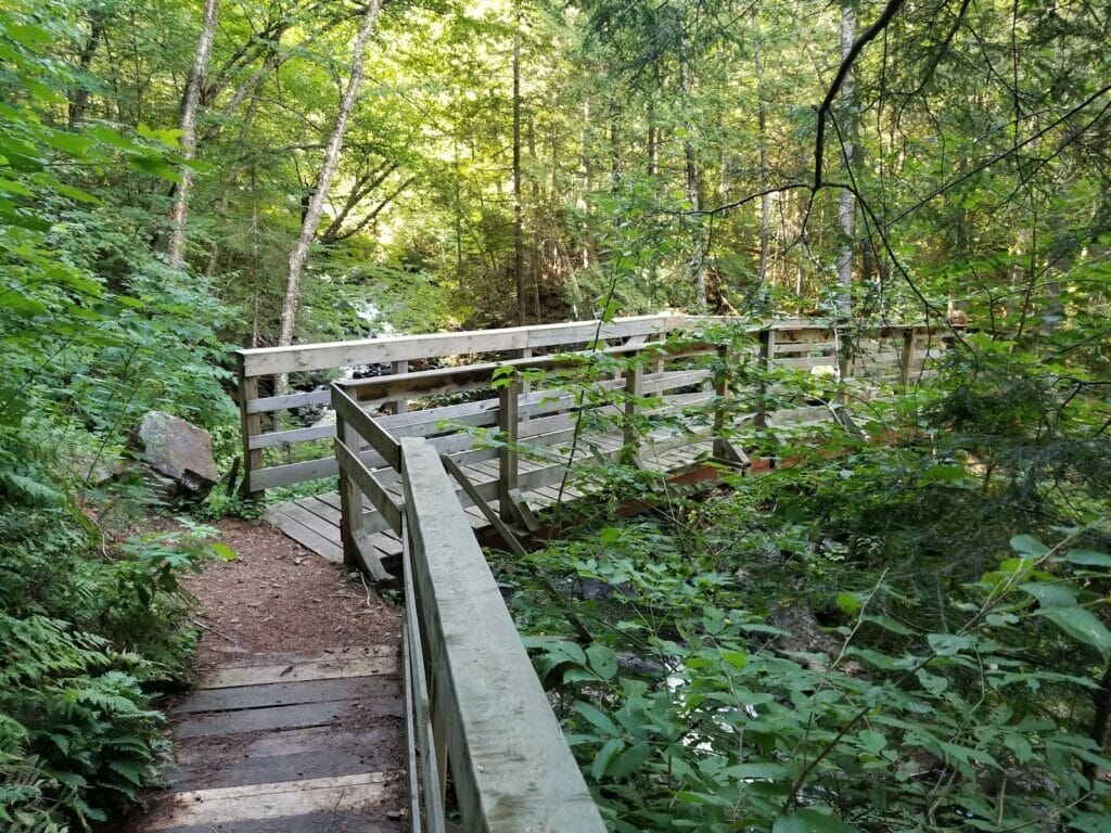Footbridge on the Iroquois National Trail