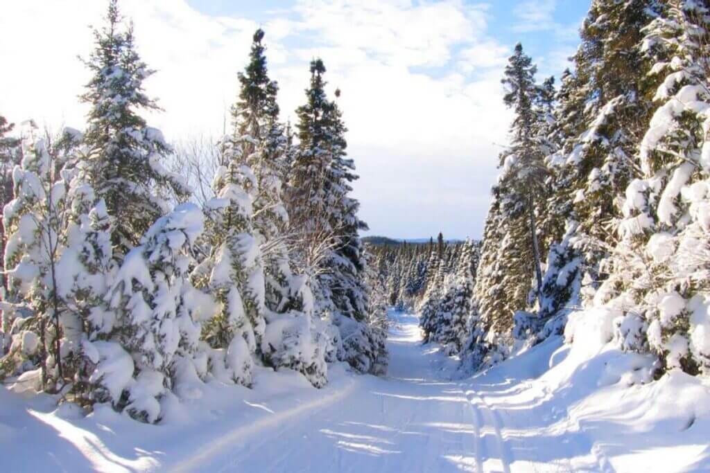 Piste de ski de fond en forêt Rapido Sept-Îles