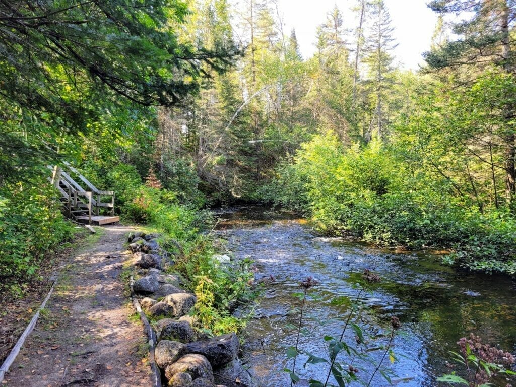 Trail along Quinn Creek