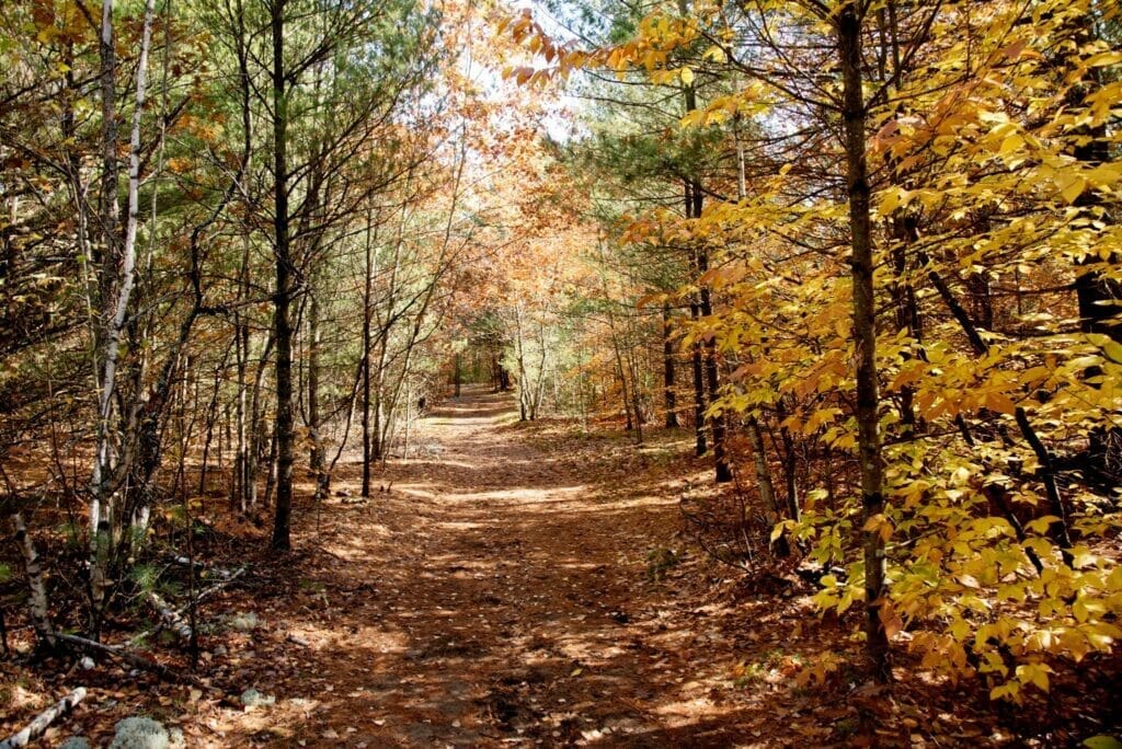 Autumn trail at Parc Nature les Forestiers in Saint-Lazare