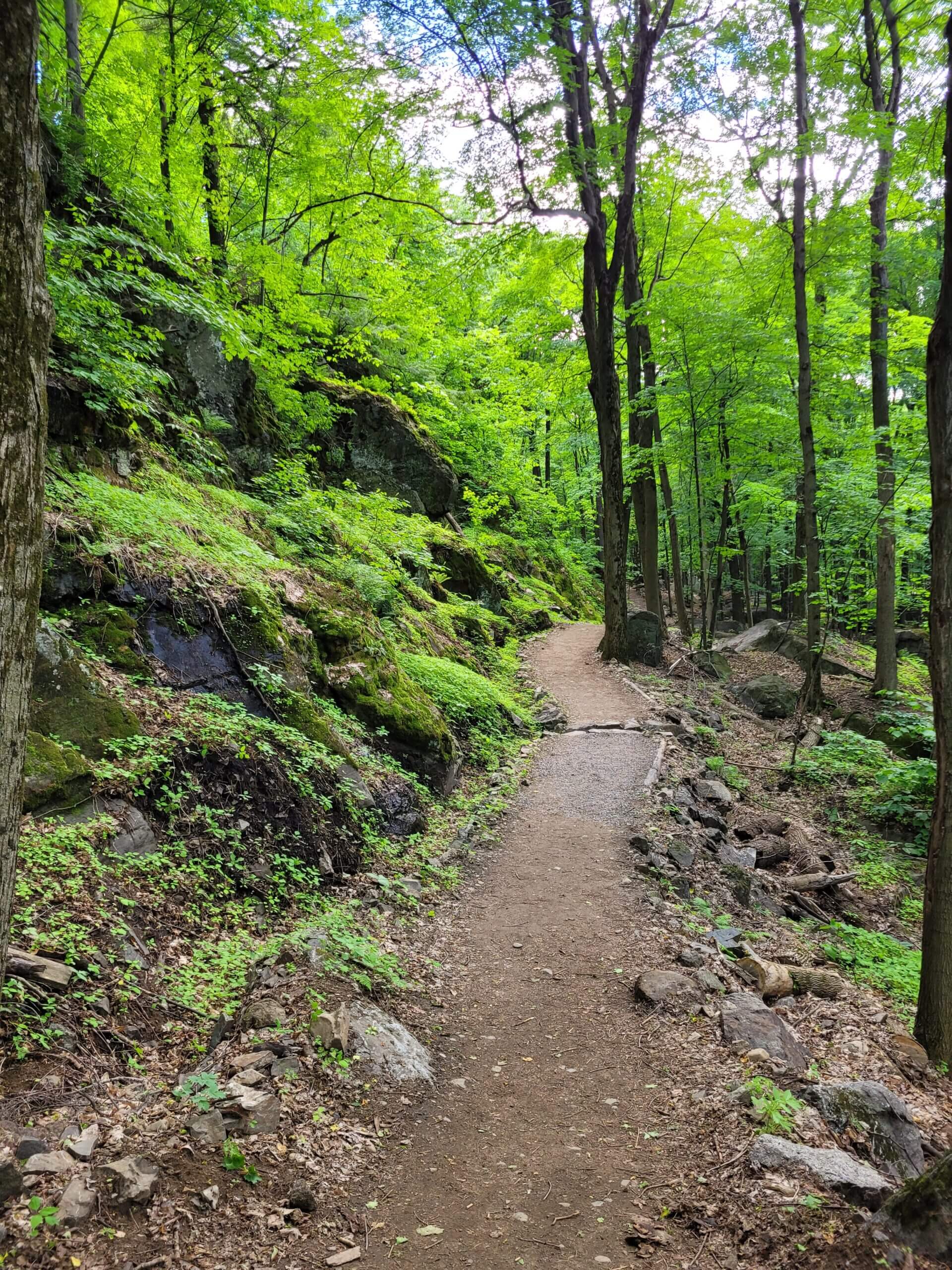 Sentier longeant le mont StHilaire Photos Sentier du piémont du mont