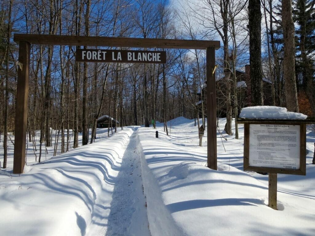 Entrée du sentier de raquette de la Forêt-La-Blanche à Mayo
