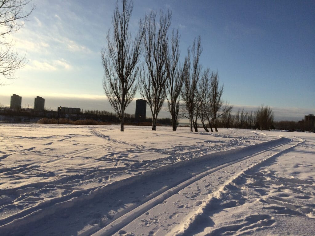 Sentier ski de fond à Verdun