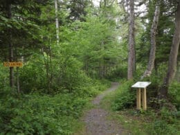 Sentiers d’Ixworth en été