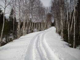 Sentiers d’Ixworth en hiver