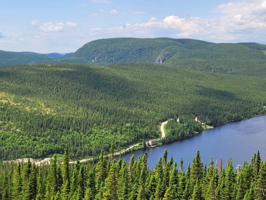 Viewpoint on the logging road in the Lac-à-L'Écluse sector of the ZEC des Martres