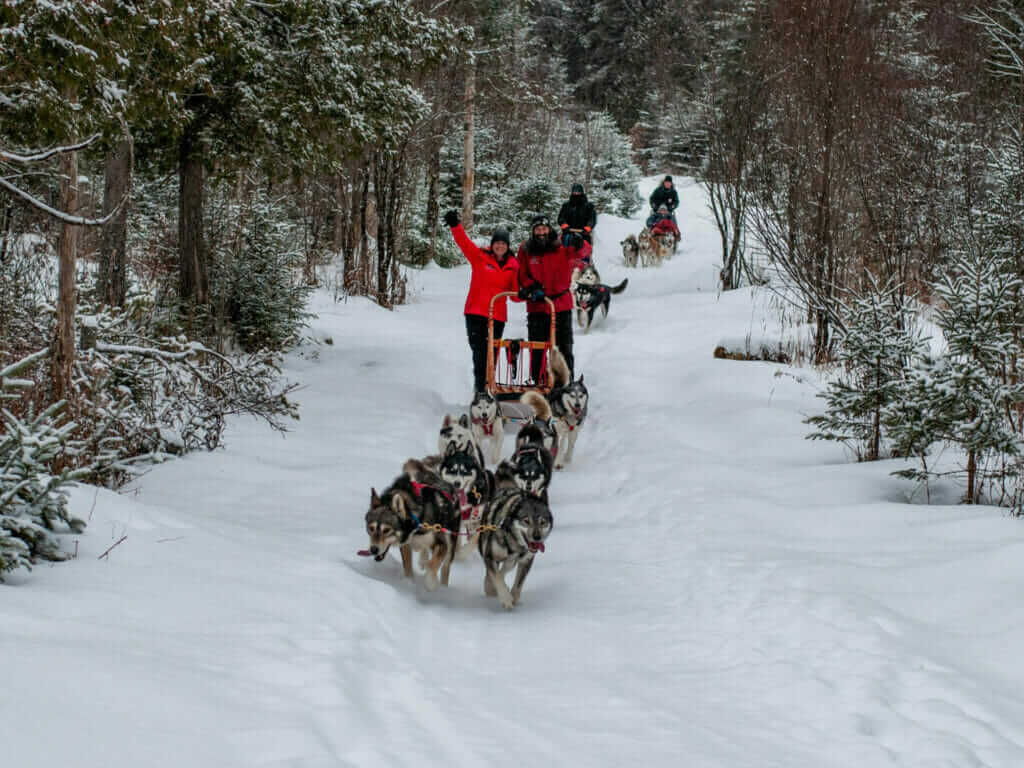 Traîneau à chiens dans les sentiers près de Mont Tremblant