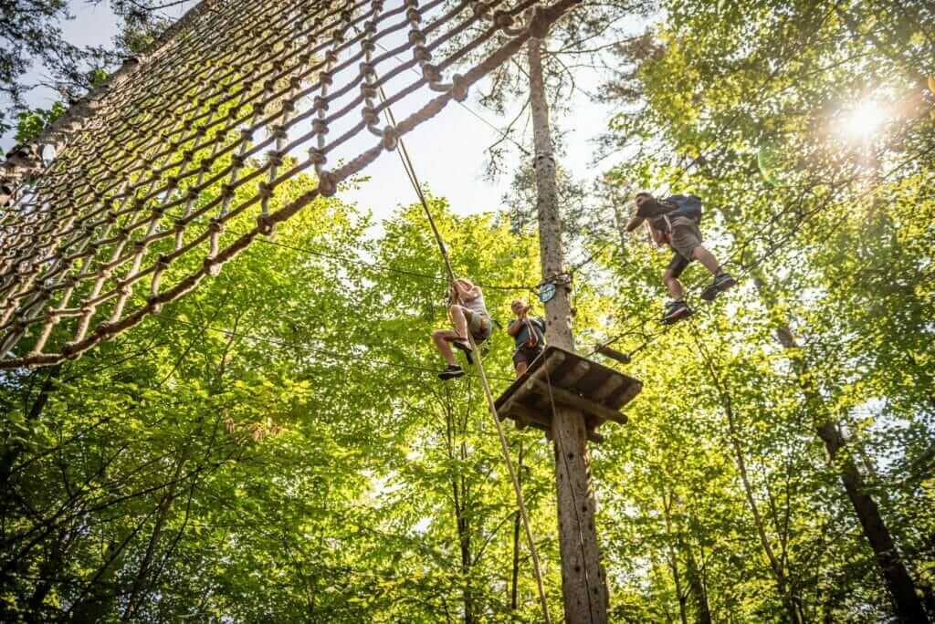 Aventureux dans un parcours aérien chez D'Arbre en Arbre Lac-Mégantic