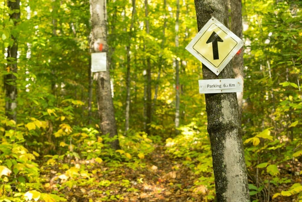 Forest trail at Lac en Coeur