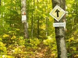 Forest trail at Lac en Coeur