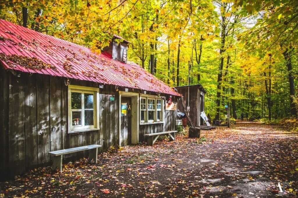 Cabane au parc écologique Godefroy