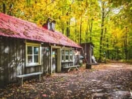 Parc écologique Godefroy