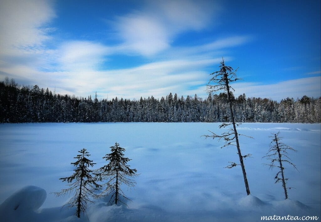 Landscape on the trails of Les Trappeurs cross-country ski and snowshoe club in St-Côme