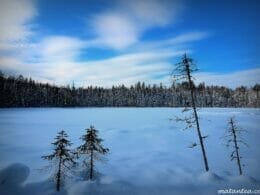 Landscape on the trails of Les Trappeurs cross-country ski and snowshoe club in St-Côme