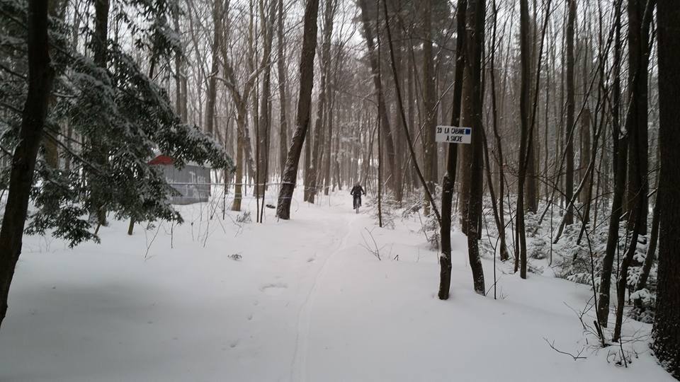 Fatbike dans les sentier du Club cycliste de Sainte-Marie en hiver