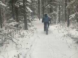 Fatbike rider on the Albanel trails
