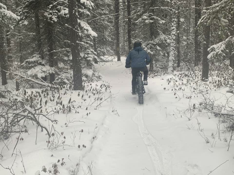 Fatbike rider on the Albanel trails