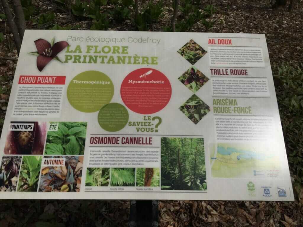 Spring flora panel at Godefroy Ecological Park